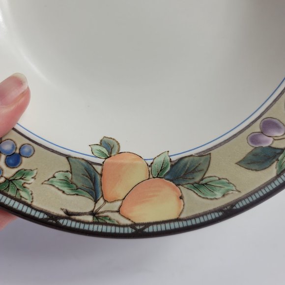 TWO Mikasa Intaglio Garden Harvest Rim Soup Bowls Fruit and Leaves on Rim - Picture 8 of 13